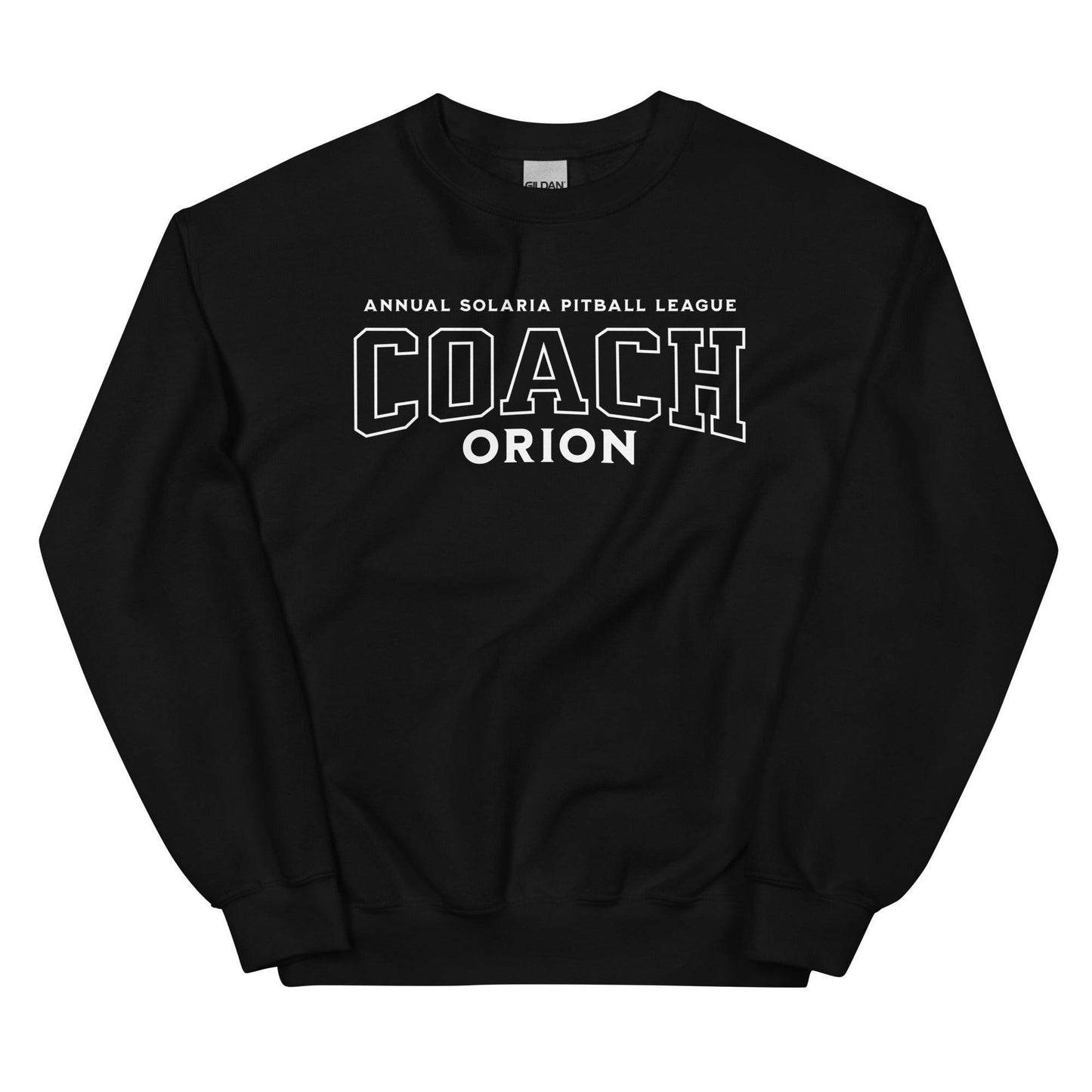 Coach Orion Sweatshirt - The Bean Workshop - sweatshirt, twin sisters, zodiac academy